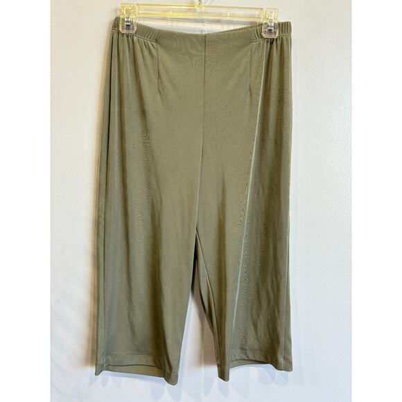 Chico's Pants - Chicos Easywear Capry Pants Green Pull On Stretchy Comfort
